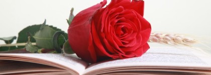 sant jordi