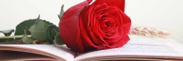 sant jordi